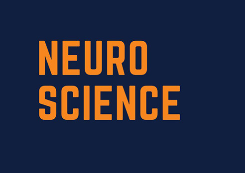 Introduction to Neuroscience and Wellbeing